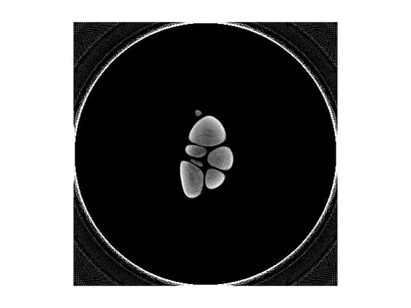 半头大蒜的投影图（X片）和重建后的断层图像（CT）